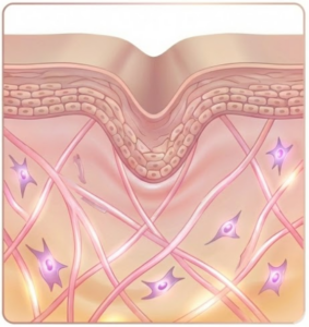 Screenshot 2025-12-07 154138