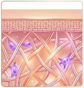 Screenshot 2025-12-13 123431